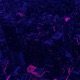 Comedown feat LOVSIQ itstjmane Single