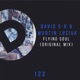 Luciuk Flying Soul Single