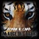 Im Auge des Tigers Single