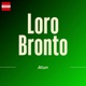 Loro Bronto Single