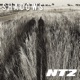 Shadows Single