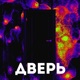 Дверь Single