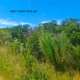 Sanctuary Single