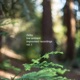 Live Ambient Improvised Recordings Vol 1