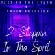 2 Steppin In Tha Spirit feat Chain Reaction Single