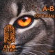 A B Radio Edit Single