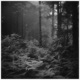 Ethereal Rework Single