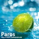 Paros feat Wender Fabio Alisei Jonny Mele Single