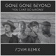 You Can t Go Wrong Fdvm Remix Single