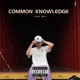 Common Knowledge Single