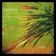 Dejavu Single