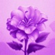 In Search of Happiness Single