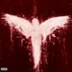 PARANOIA feat Sp ce Single