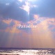 Paradise Single