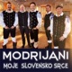 Moje slovensko srce Single