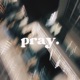 Pray Single