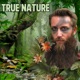 True Nature Single