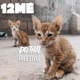 Do That Freestyle Single