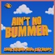 Ain t No Bummer Single