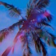 Each Summer s Habit Remixes Single