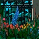 Myst Garden Single