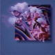 Bloom Single