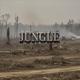 Jungle Single