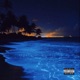 Powiedzialem Single