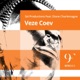Veze Coev feat Diane Charlemagne