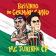 Passinho do Germán Cano Single