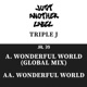 Wonderful World Single