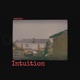 Intuition feat slō Single