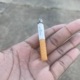 lifeisaburningcig Single