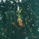 A Story to Tell pt 2 EP