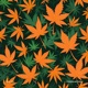 Tokers Anthem Single
