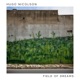 Field of Dreams Single