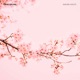 Sakura waltz Single
