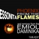Phoenix From the Flames Single