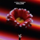 Hollow Single