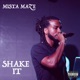 Shake It feat Tramale Jones Single