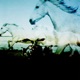 Flying Doors Single