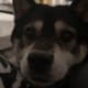 have you heard of peru feat Perubaby Single