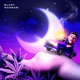 Blunt Marrom Single