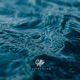 OCEAN Single