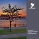 Goodbye My Friends Meline Remix Single