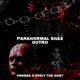 Paranormal Snax feat VRODAK Single