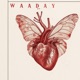 Waaday Single