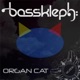 Organ Cat Single