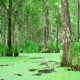 reminiscent Instrumental Single