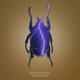 Storm Instrumental Single